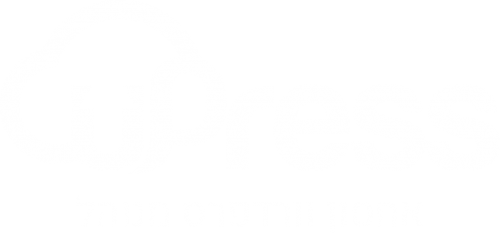 אתר וורדפרס חדש